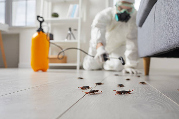 Trusted Cockroach Control service in Fords Prairie, WA - Nex Pest Control